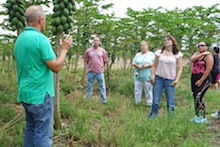 Ag Biotech class in papaya field